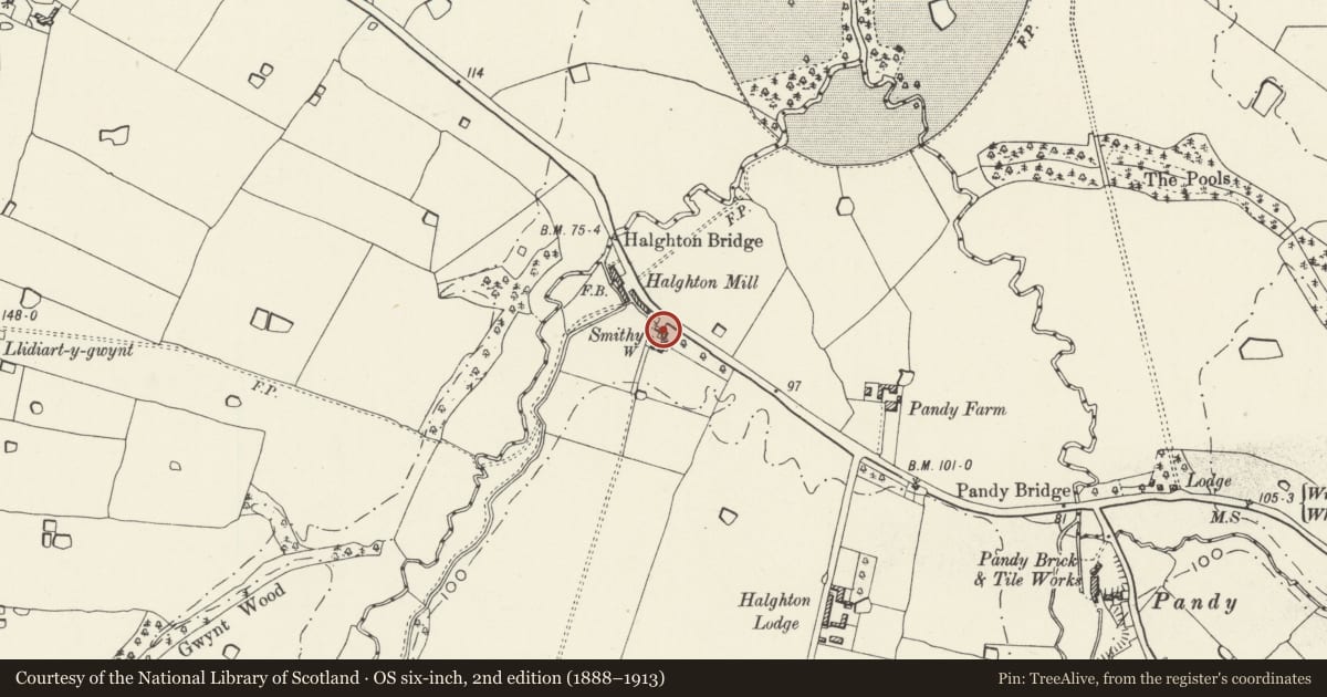 Ordnance Survey six-inch map, 2nd edition (1888–1913) covering the location of Halghton Forge, Hanmer, Wrexham, with a pin at the register's coordinates