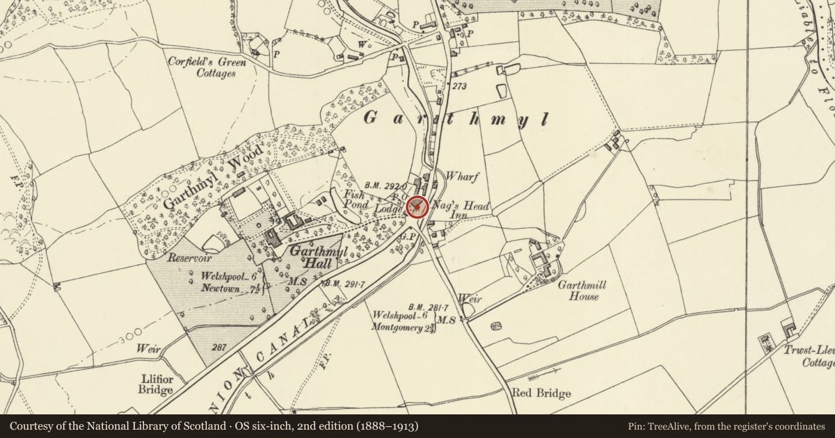 Ordnance Survey six-inch map, 2nd edition (1888–1913) covering the location of Telephone Call-box in front of Nag's Head PH, Berriew, Powys, with a pin at the register's coordinates