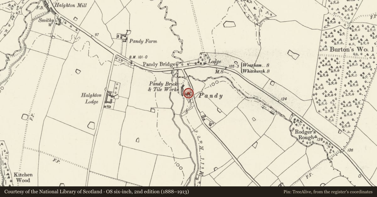 Ordnance Survey six-inch map, 2nd edition (1888–1913) covering the location of Pandy Holding, Hanmer, Wrexham, with a pin at the register's coordinates