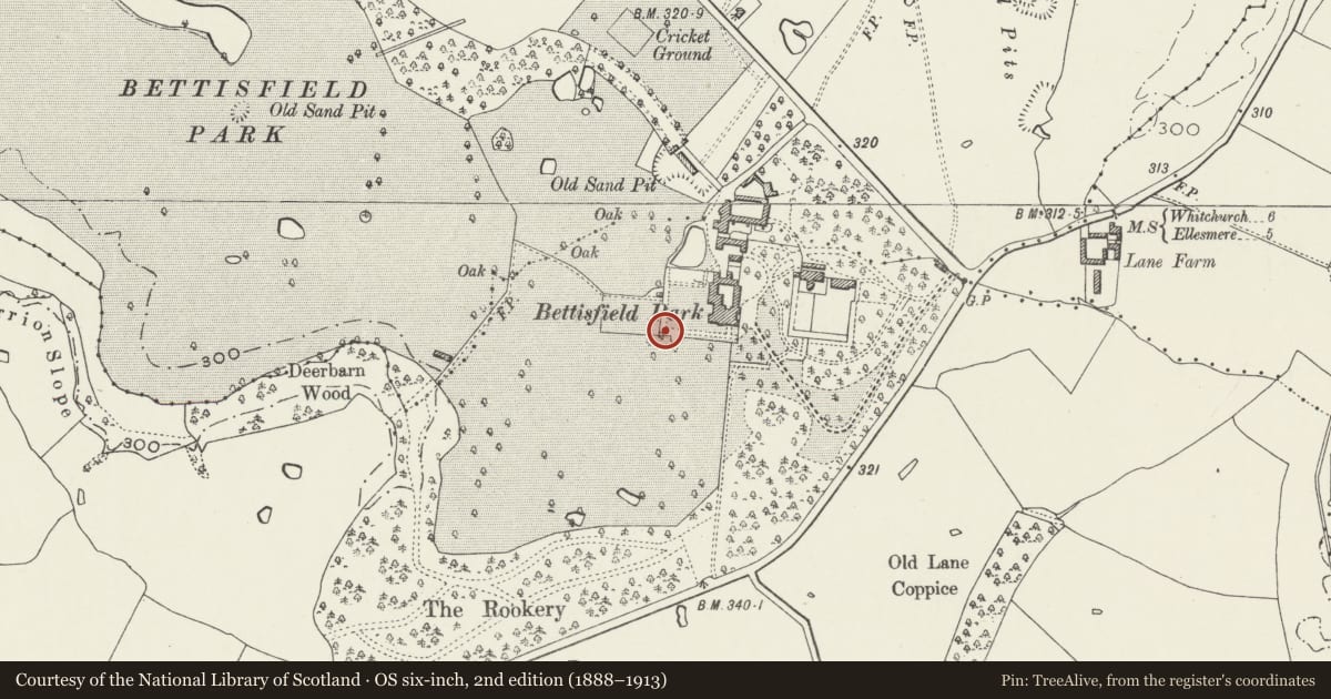 Ordnance Survey six-inch map, 2nd edition (1888–1913) covering the location of Revetment and balustrade to forecourt and formal garden of Bettisfield Park, Hanmer, Wrexham, with a pin at the register's coordinates