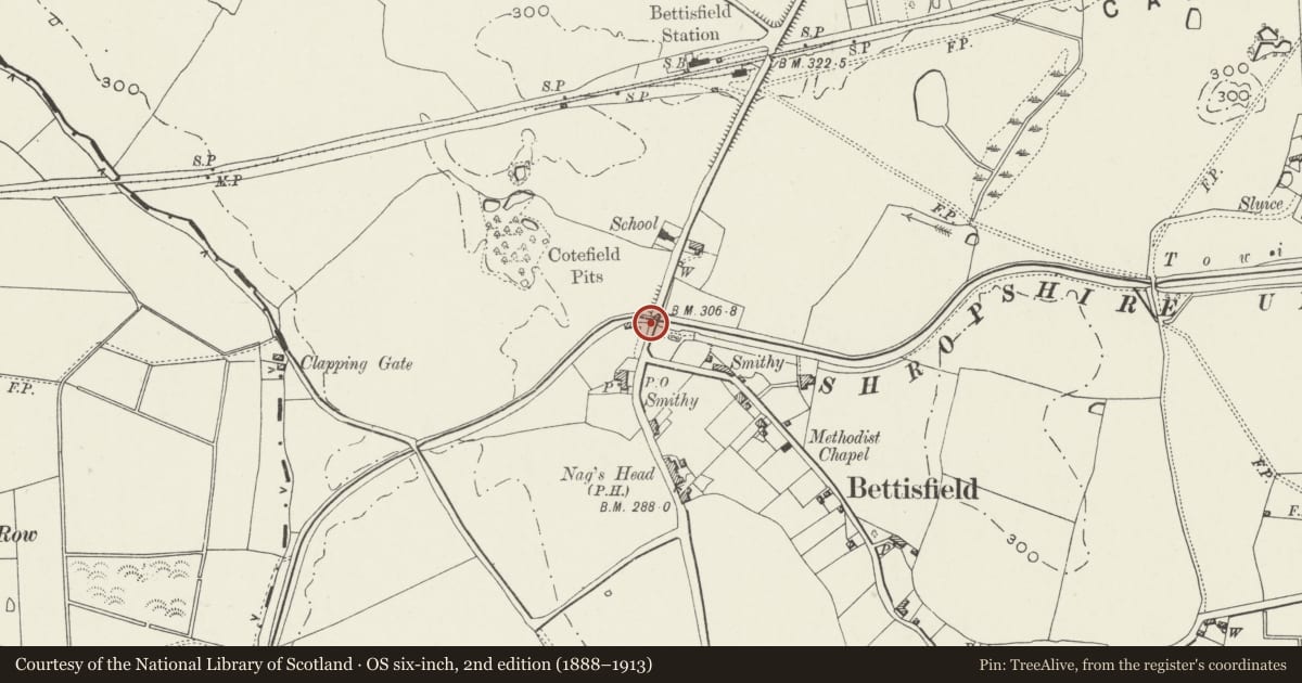 Ordnance Survey six-inch map, 2nd edition (1888–1913) covering the location of Bettisfield Bridge (Bridge No 48, Llangollen Canal), Maelor South, Wrexham, with a pin at the register's coordinates
