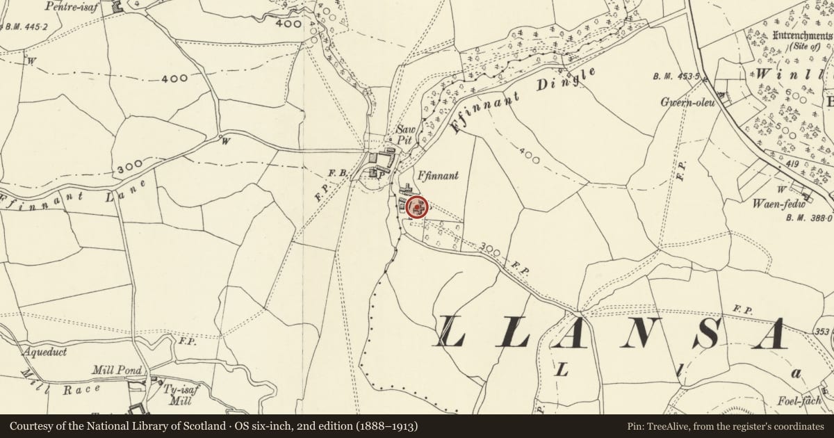 Ordnance Survey six-inch map, 2nd edition (1888–1913) covering the location of Ffinnant Farmhouse, Llansantffraid, Powys, with a pin at the register's coordinates