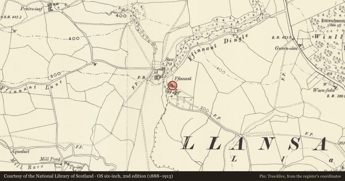 Ordnance Survey six-inch map, 2nd edition (1888–1913) covering the location of Barn at Ffinnant, Llansantffraid, Powys, with a pin at the register's coordinates
