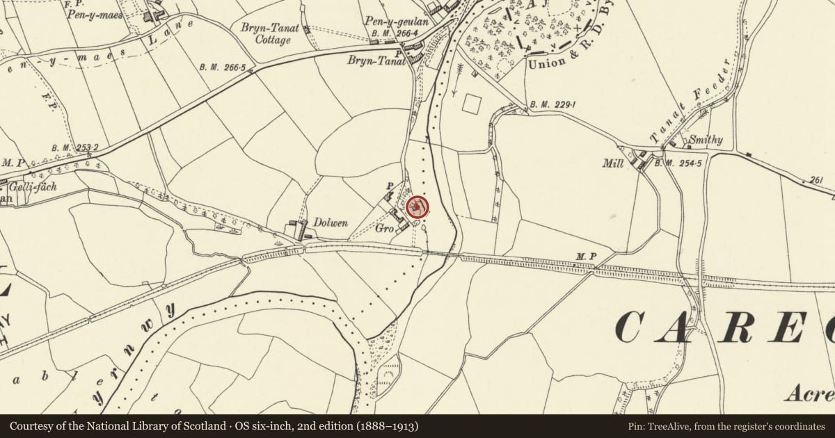 Ordnance Survey six-inch map, 2nd edition (1888–1913) covering the location of The Gro, Llansantffraid, Powys, with a pin at the register's coordinates