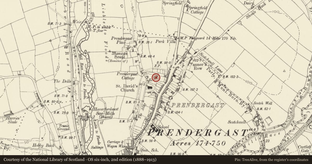 Ordnance Survey six-inch map, 2nd edition (1888–1913) covering the location of Penrhiwllan, Haverfordwest, Pembrokeshire, with a pin at the register's coordinates