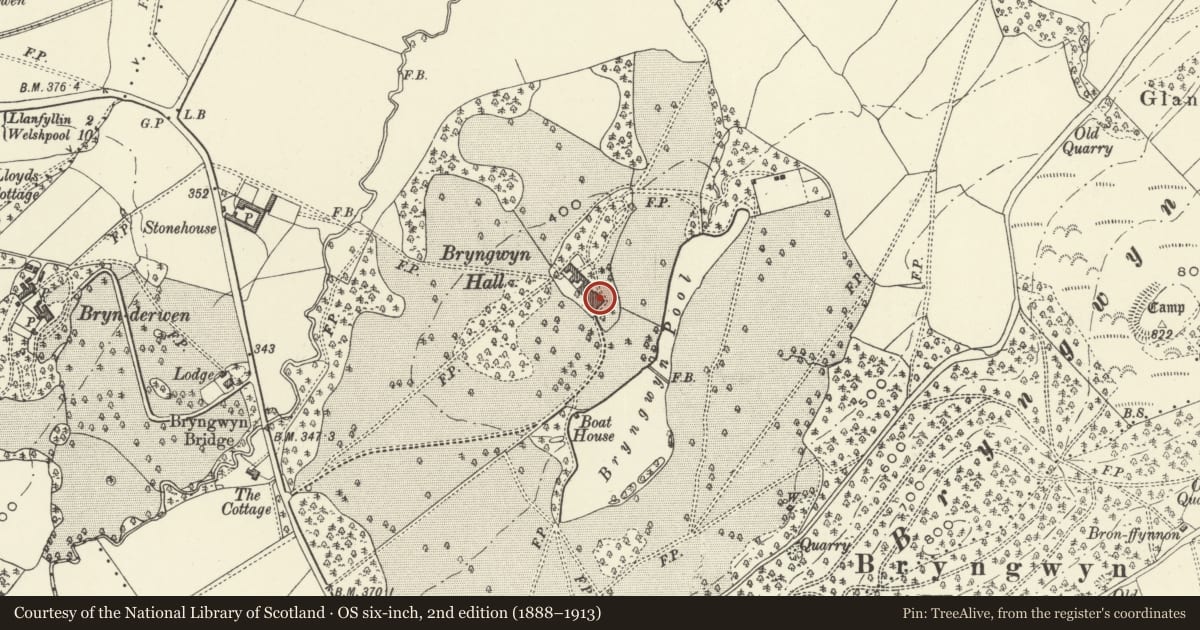 Ordnance Survey six-inch map, 2nd edition (1888–1913) covering the location of Bryngwyn Hall, Meifod, Powys, with a pin at the register's coordinates