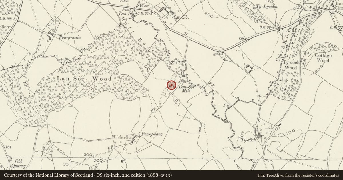 Ordnance Survey six-inch map, 2nd edition (1888–1913) covering the location of Llansor Mill Cottage, Llangybi, Monmouthshire, with a pin at the register's coordinates