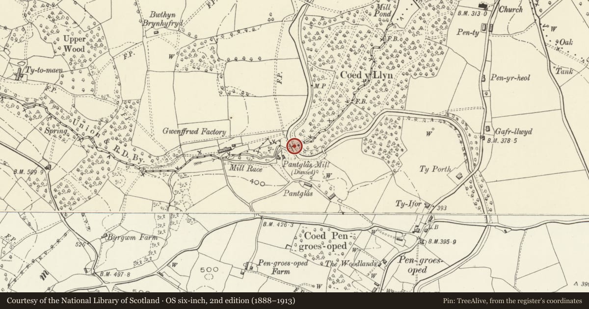 Ordnance Survey six-inch map, 2nd edition (1888–1913) covering the location of Aqueduct between Bridges No. 78 and 79 Monmouthshire and Brecon Canal, Goetre Fawr, Monmouthshire, with a pin at the register's coordinates