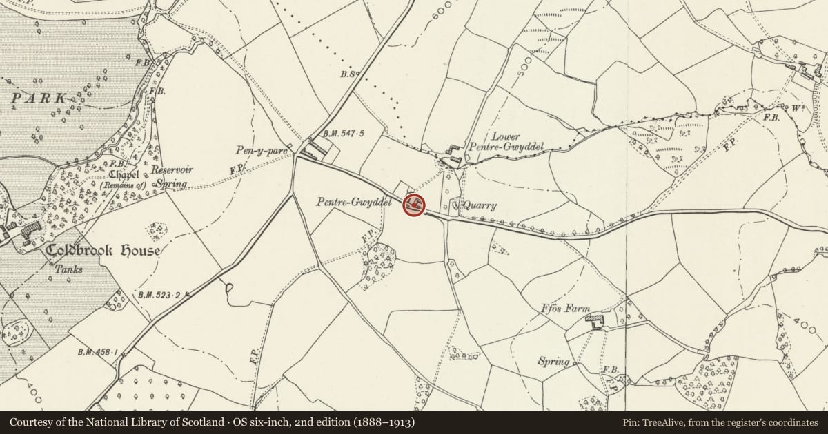 Ordnance Survey six-inch map, 2nd edition (1888–1913) covering the location of Barn at Pentre-Gwyddel Farm, Gobion Fawr, Monmouthshire, with a pin at the register's coordinates