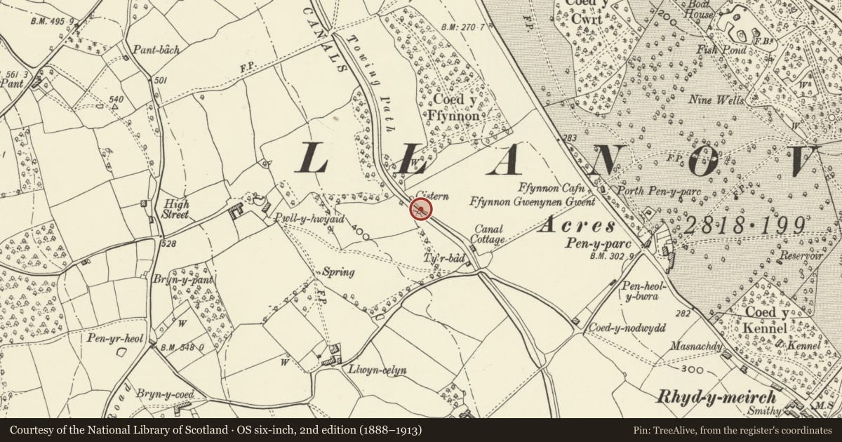 Ordnance Survey six-inch map, 2nd edition (1888–1913) covering the location of Bridge No. 82 Monmouthshire and Brecon Canal, Goetre Fawr, Monmouthshire, with a pin at the register's coordinates