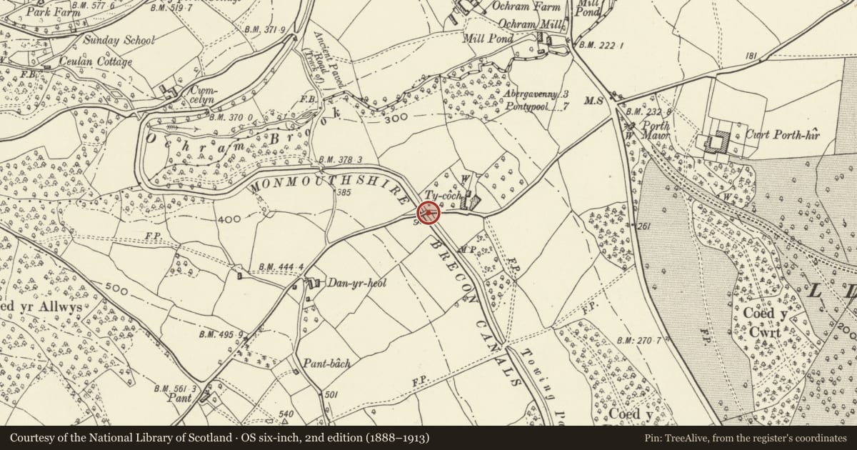 Ordnance Survey six-inch map, 2nd edition (1888–1913) covering the location of Bridge No. 84 Monmouthshire and Brecon Canal, Goetre Fawr, Monmouthshire, with a pin at the register's coordinates