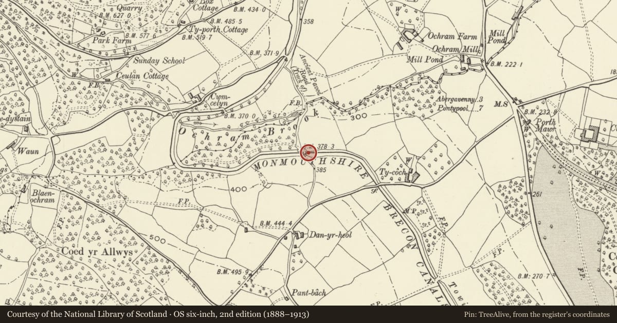 Ordnance Survey six-inch map, 2nd edition (1888–1913) covering the location of Bridge No. 85 Monmouthshire and Brecon Canal, Goetre Fawr, Monmouthshire, with a pin at the register's coordinates