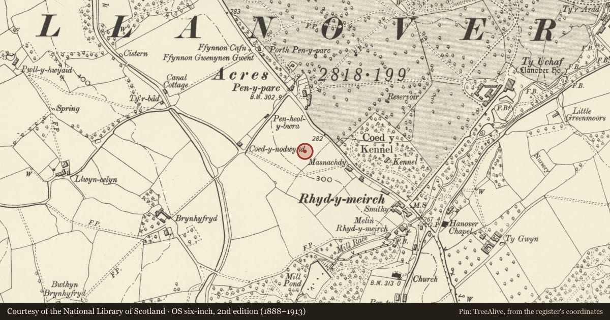 Ordnance Survey six-inch map, 2nd edition (1888–1913) covering the location of Cross, War Memorial and Walls surrounding the Green at Tre-Elidyr, Goetre Fawr, Monmouthshire, with a pin at the register's coordinates