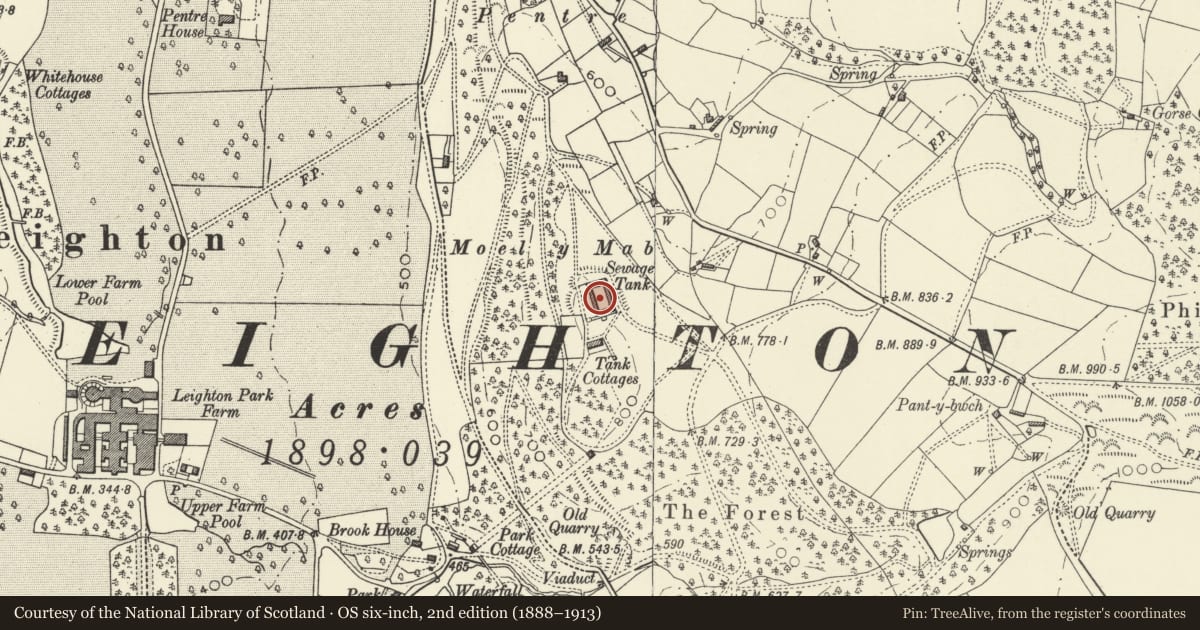 Ordnance Survey six-inch map, 2nd edition (1888–1913) covering the location of Slurry Tank, Forden with Leighton and Trelystan, Powys, with a pin at the register's coordinates