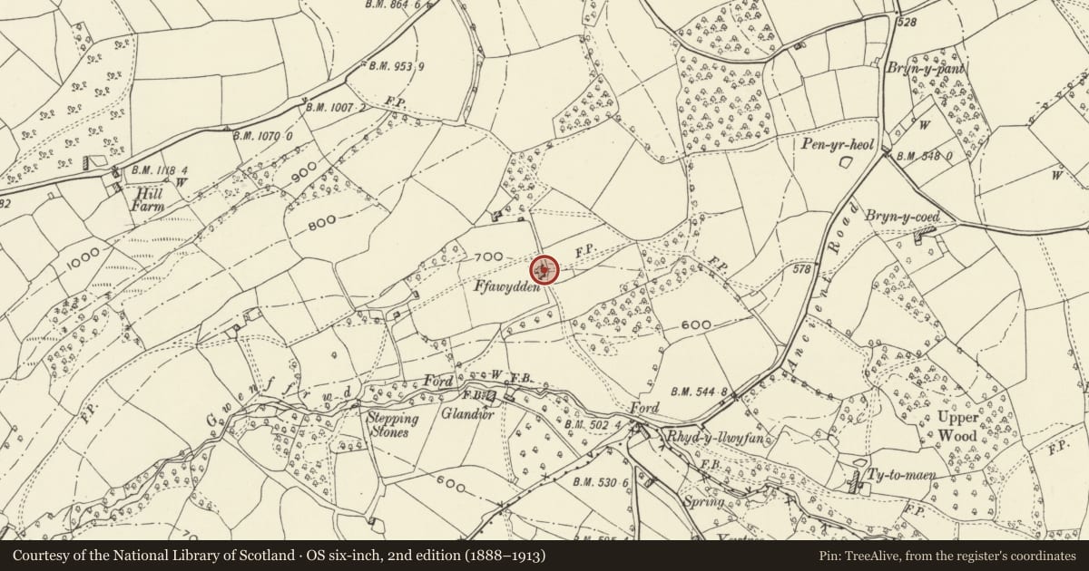 Ordnance Survey six-inch map, 2nd edition (1888–1913) covering the location of Ffawydden Farmhouse and attached Barn, Goetre Fawr, Monmouthshire, with a pin at the register's coordinates