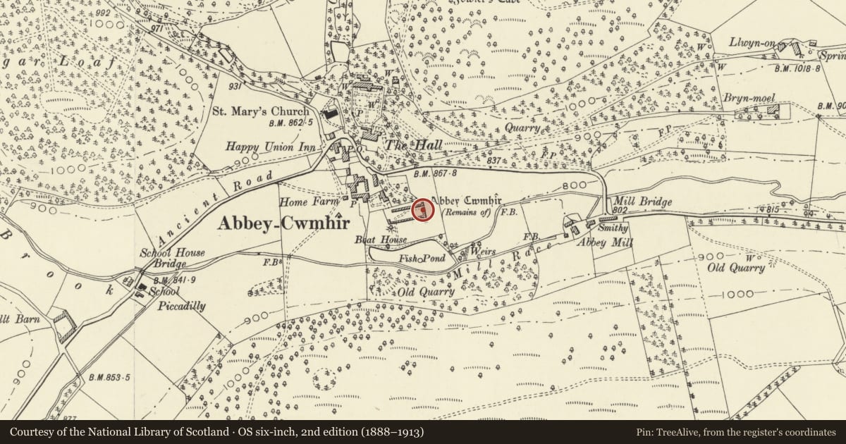 Ordnance Survey six-inch map, 2nd edition (1888–1913) covering the location of Cwmhir Abbey, Abbey Cwmhir, Powys, with a pin at the register's coordinates