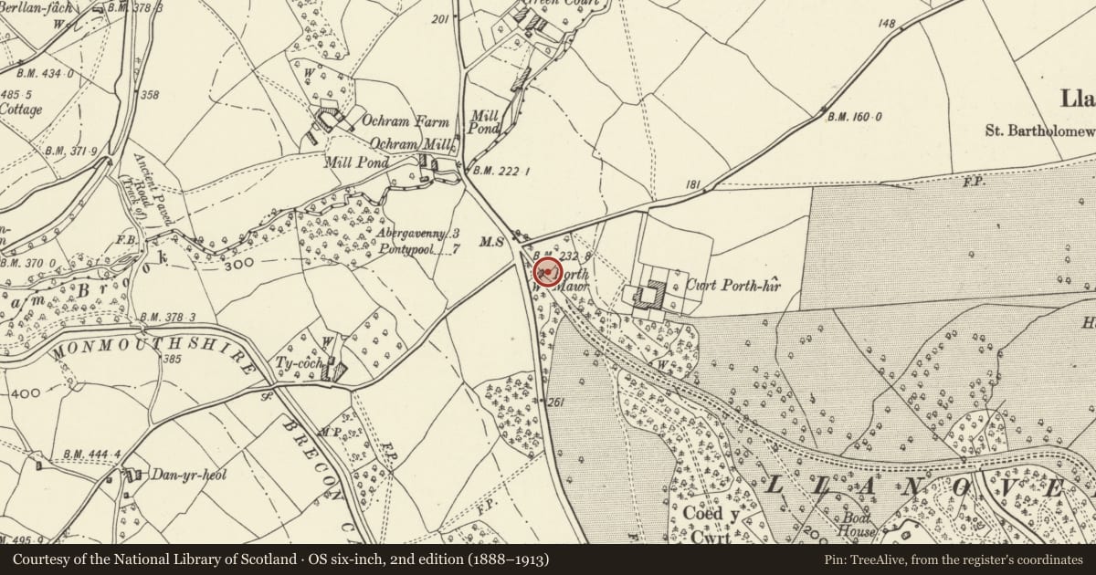 Ordnance Survey six-inch map, 2nd edition (1888–1913) covering the location of Porth Mawr Lodge, Goetre Fawr, Monmouthshire, with a pin at the register's coordinates