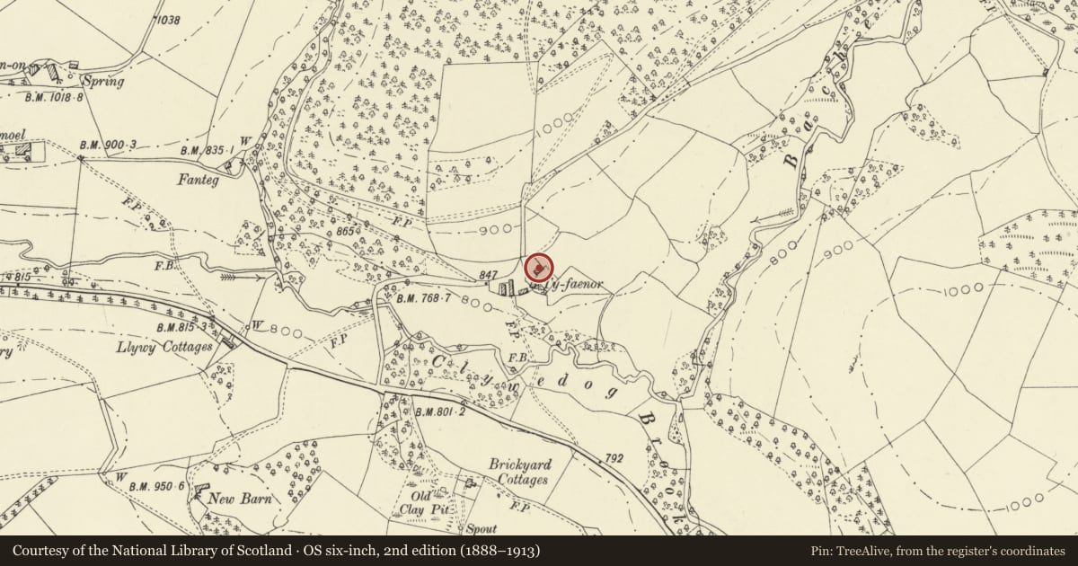 Ordnance Survey six-inch map, 2nd edition (1888–1913) covering the location of Ty Faenor, Abbey Cwmhir, Powys, with a pin at the register's coordinates