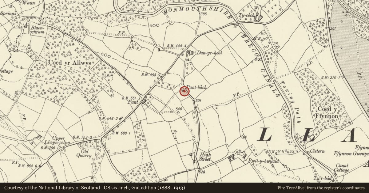 Ordnance Survey six-inch map, 2nd edition (1888–1913) covering the location of Pant-bach, Goetre Fawr, Monmouthshire, with a pin at the register's coordinates
