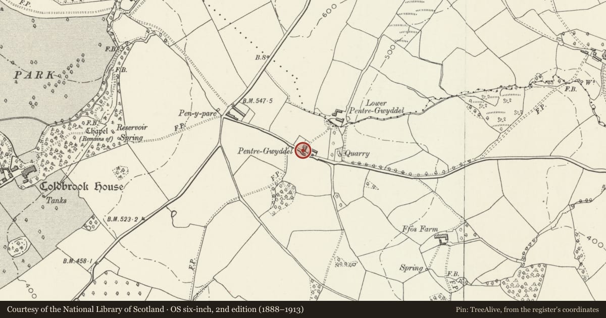Ordnance Survey six-inch map, 2nd edition (1888–1913) covering the location of Pentre-Gwyddel, Gobion Fawr, Monmouthshire, with a pin at the register's coordinates