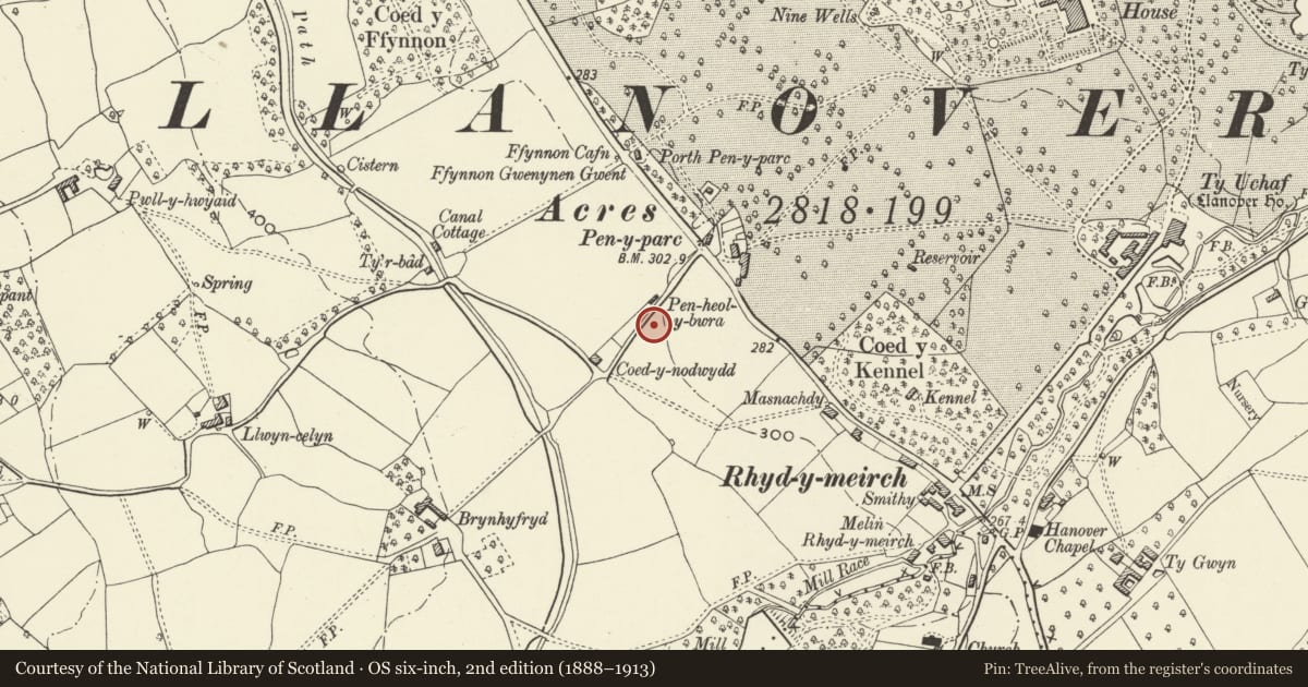 Ordnance Survey six-inch map, 2nd edition (1888–1913) covering the location of Tre-Elidyr, Goetre Fawr, Monmouthshire, with a pin at the register's coordinates