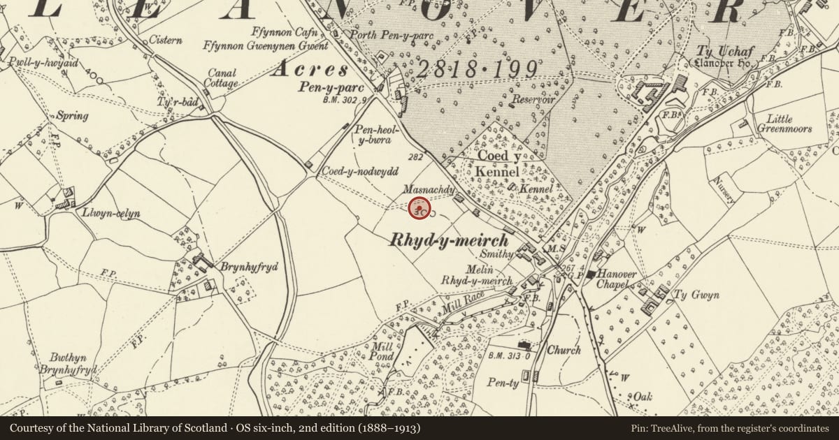 Ordnance Survey six-inch map, 2nd edition (1888–1913) covering the location of Tre-Elidyr, Goetre Fawr, Monmouthshire, with a pin at the register's coordinates