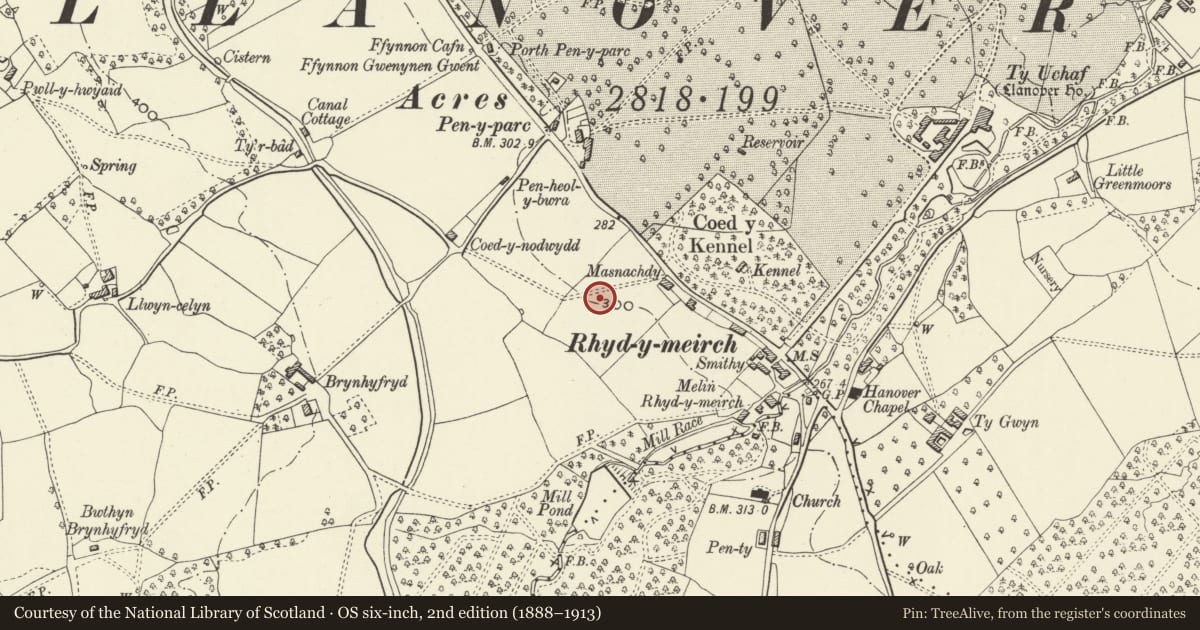 Ordnance Survey six-inch map, 2nd edition (1888–1913) covering the location of Tre-Elidyr, Goetre Fawr, Monmouthshire, with a pin at the register's coordinates