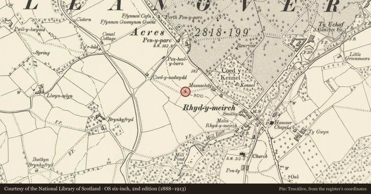Ordnance Survey six-inch map, 2nd edition (1888–1913) covering the location of Tre-Elidyr, Goetre Fawr, Monmouthshire, with a pin at the register's coordinates