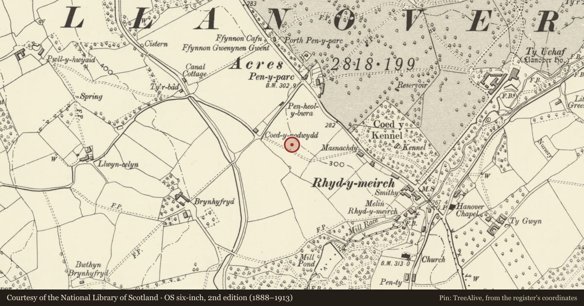 Ordnance Survey six-inch map, 2nd edition (1888–1913) covering the location of Tre-Elidyr, Goetre Fawr, Monmouthshire, with a pin at the register's coordinates
