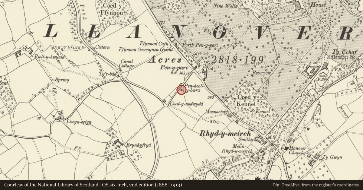 Ordnance Survey six-inch map, 2nd edition (1888–1913) covering the location of Tre-Elidyr, Goetre Fawr, Monmouthshire, with a pin at the register's coordinates