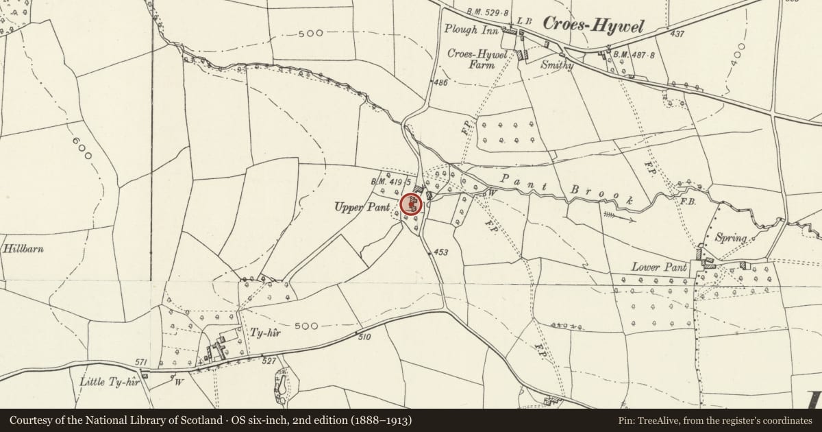 Ordnance Survey six-inch map, 2nd edition (1888–1913) covering the location of Upper Pant Farmhouse, Gobion Fawr, Monmouthshire, with a pin at the register's coordinates