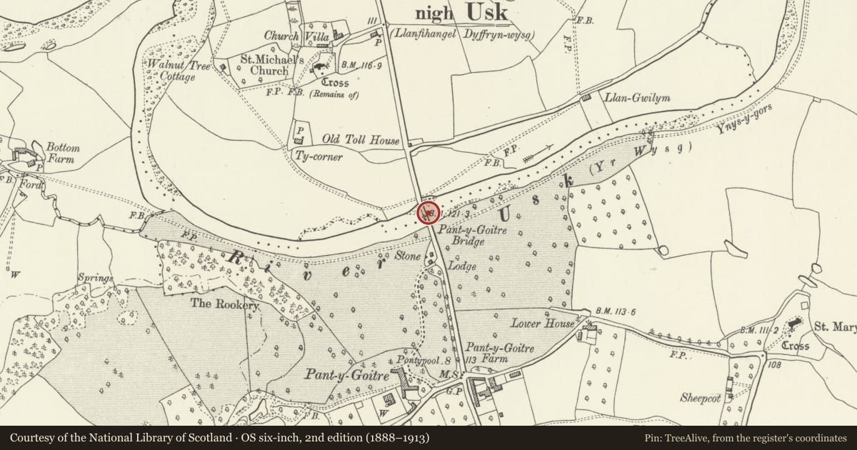 Ordnance Survey six-inch map, 2nd edition (1888–1913) covering the location of Pant-y-Goitre Bridge, with approach embankments and flood arches, Gobion Fawr, Monmouthshire, with a pin at the register's coordinates