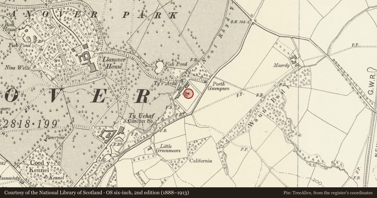 Ordnance Survey six-inch map, 2nd edition (1888–1913) covering the location of Walled Garden at Ty-uchaf, Goetre Fawr, Monmouthshire, with a pin at the register's coordinates