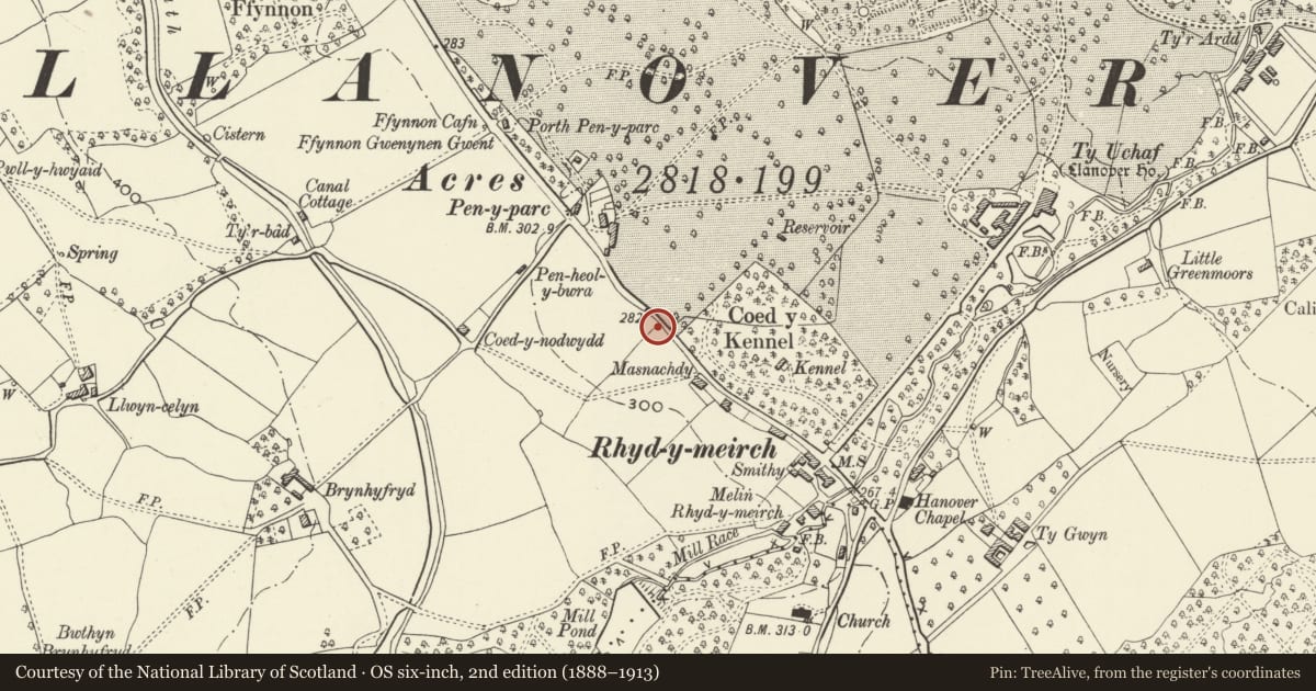 Ordnance Survey six-inch map, 2nd edition (1888–1913) covering the location of Wing Walls at entry to Tre-Elidyr Green opposite Dan-y-mur, Goetre Fawr, Monmouthshire, with a pin at the register's coordinates