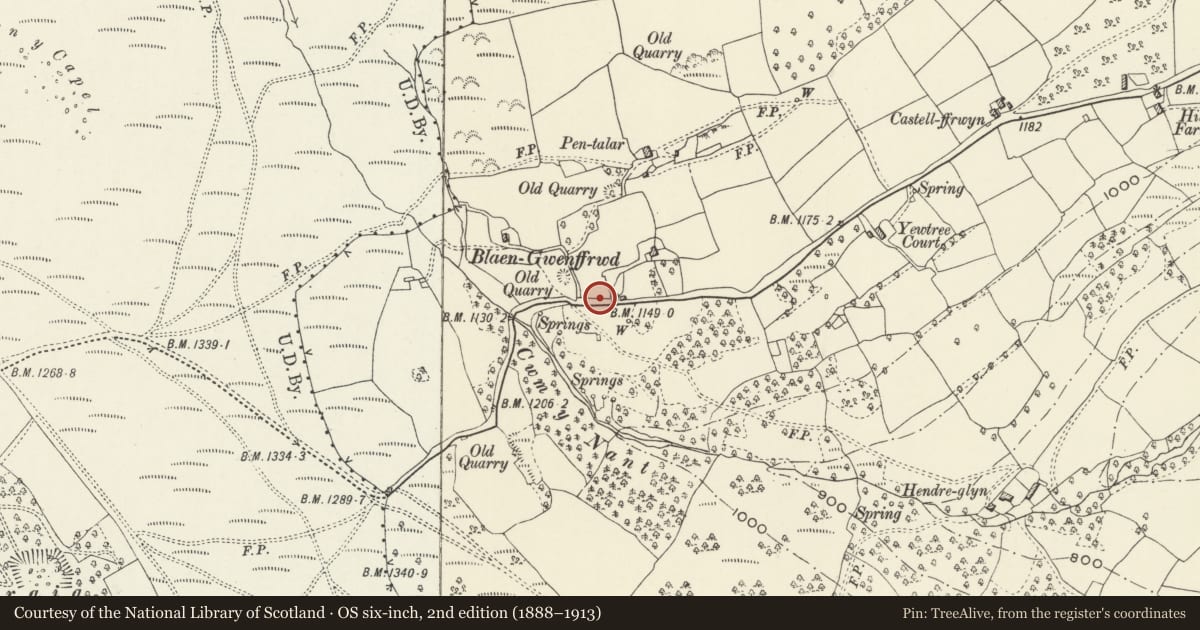 Ordnance Survey six-inch map, 2nd edition (1888–1913) covering the location of Beehive Pigsty at Blaengwenffrwd Farm, Goetre Fawr, Monmouthshire, with a pin at the register's coordinates