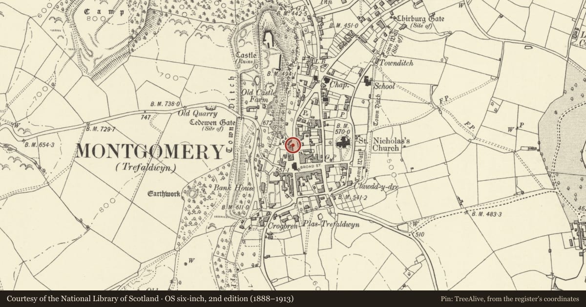 Ordnance Survey six-inch map, 2nd edition (1888–1913) covering the location of 11 Arthur Street, Montgomery, Powys, with a pin at the register's coordinates