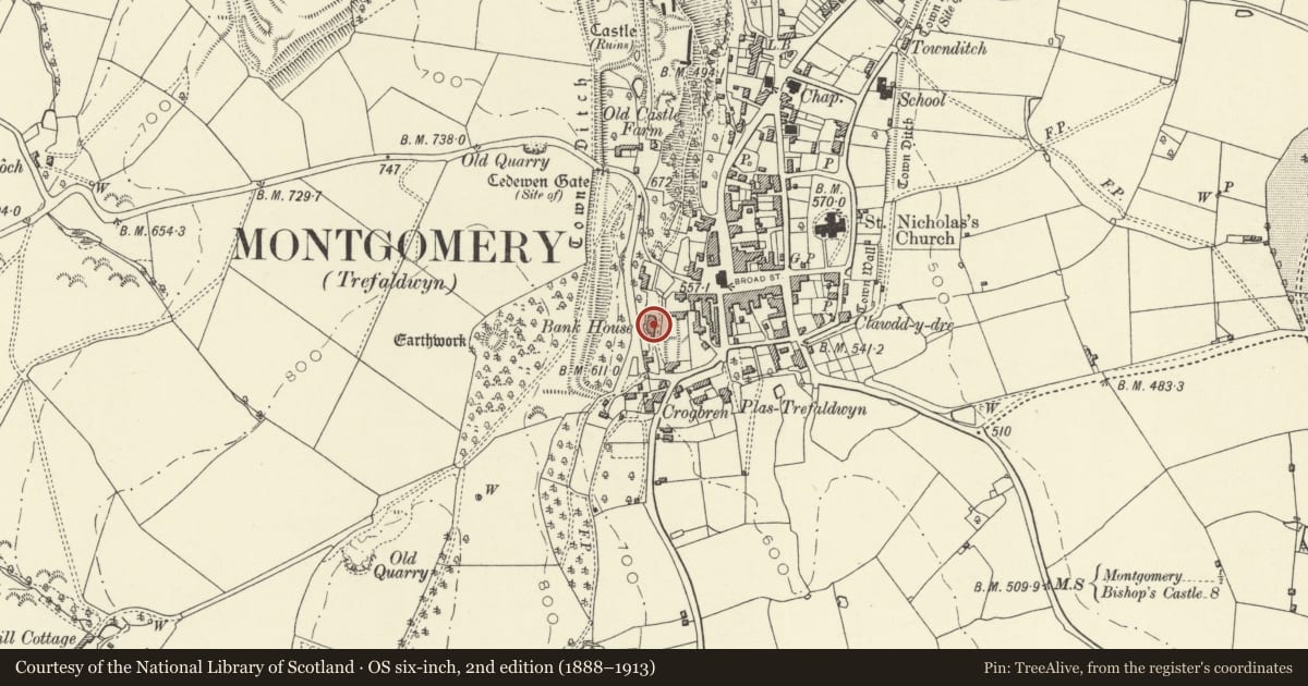 Ordnance Survey six-inch map, 2nd edition (1888–1913) covering the location of Bank House, Montgomery, Powys, with a pin at the register's coordinates