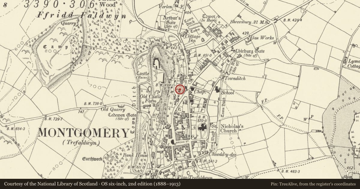 Ordnance Survey six-inch map, 2nd edition (1888–1913) covering the location of Belmont, Montgomery, Powys, with a pin at the register's coordinates