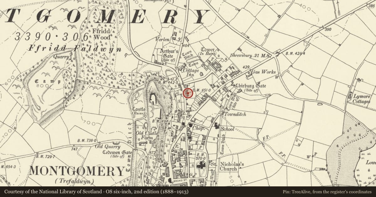 Ordnance Survey six-inch map, 2nd edition (1888–1913) covering the location of Borrowdale, Montgomery, Powys, with a pin at the register's coordinates