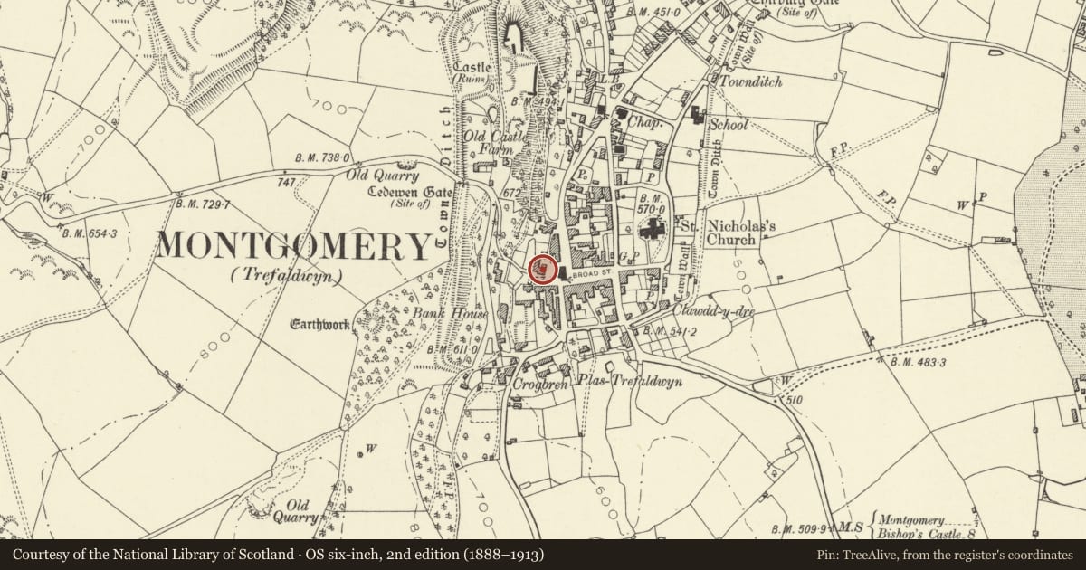 Ordnance Survey six-inch map, 2nd edition (1888–1913) covering the location of Llwyn Cottage, Montgomery, Powys, with a pin at the register's coordinates