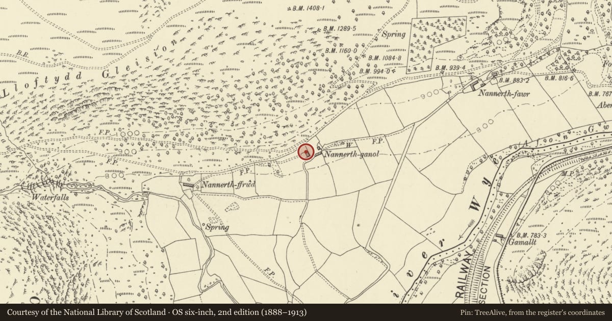 Ordnance Survey six-inch map, 2nd edition (1888–1913) covering the location of Nannerth Ganol, Rhayader, Powys, with a pin at the register's coordinates