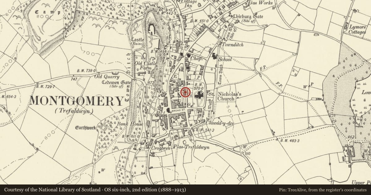 Ordnance Survey six-inch map, 2nd edition (1888–1913) covering the location of Cobbler's Cottage, No. 2 Brynhyfryd, Montgomery, Powys, with a pin at the register's coordinates