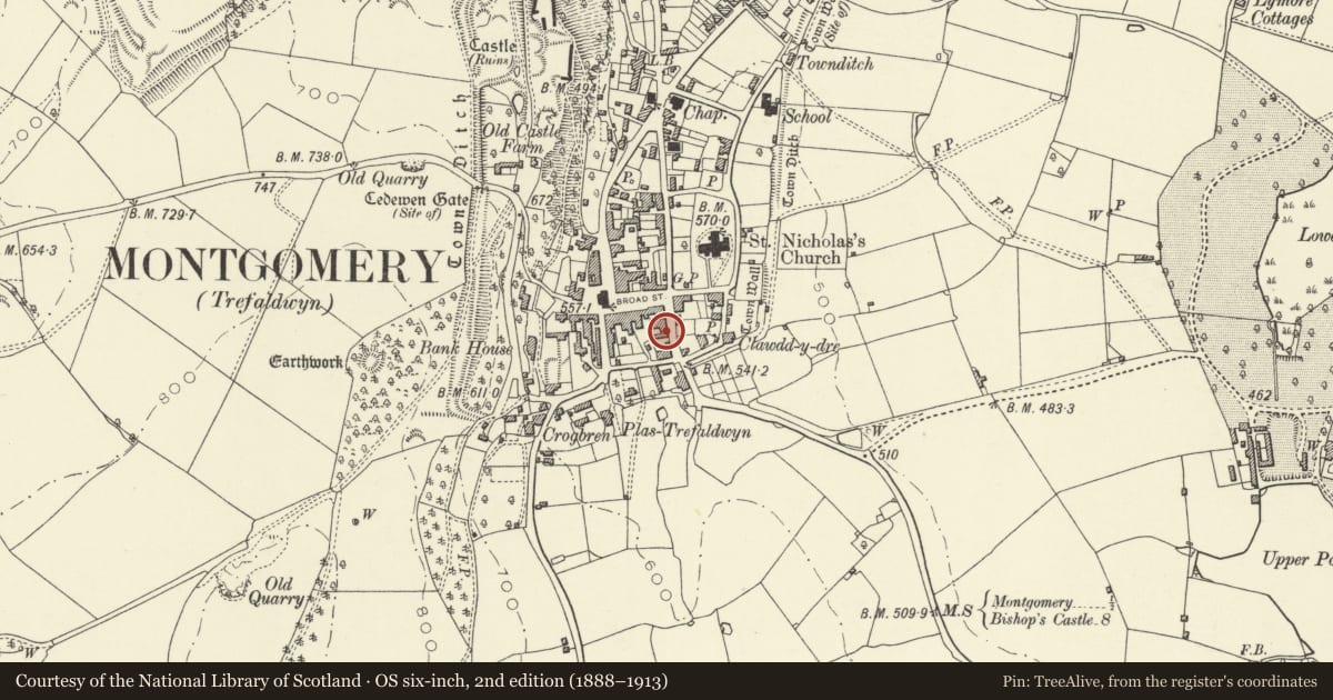 Ordnance Survey six-inch map, 2nd edition (1888–1913) covering the location of Brynwylfa inclding outbuilding to rear, Montgomery, Powys, with a pin at the register's coordinates