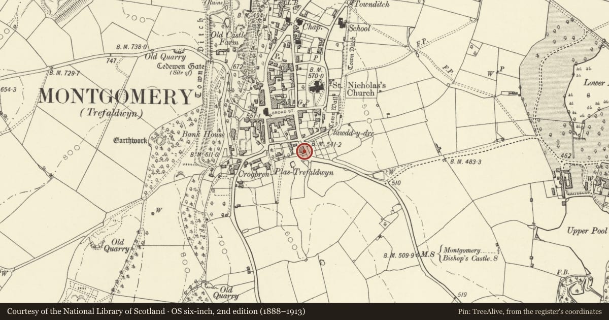 Ordnance Survey six-inch map, 2nd edition (1888–1913) covering the location of Burdett House, Montgomery, Powys, with a pin at the register's coordinates