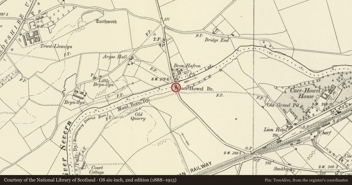 Ordnance Survey six-inch map, 2nd edition (1888–1913) covering the location of Caerhowel Bridge (partly in Berriew community), Montgomery, Powys, with a pin at the register's coordinates