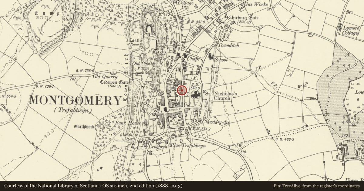 Ordnance Survey six-inch map, 2nd edition (1888–1913) covering the location of Cartref, Montgomery, Powys, with a pin at the register's coordinates