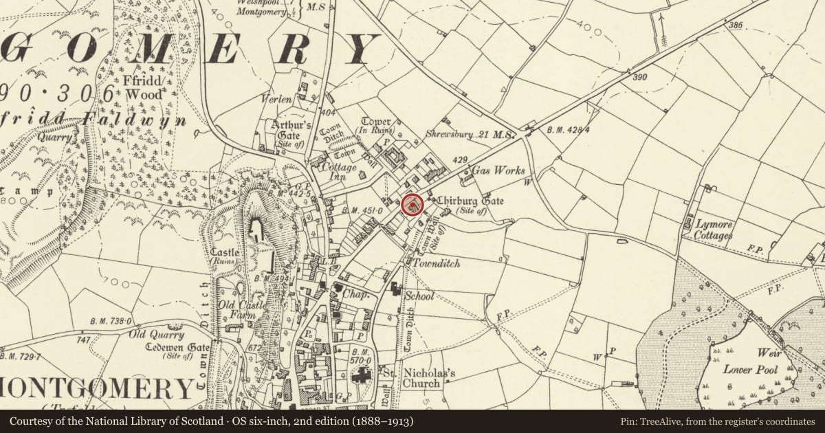 Ordnance Survey six-inch map, 2nd edition (1888–1913) covering the location of Clive House, Montgomery, Powys, with a pin at the register's coordinates