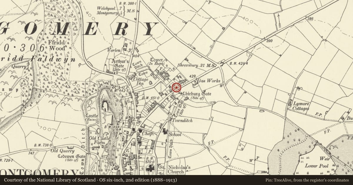 Ordnance Survey six-inch map, 2nd edition (1888–1913) covering the location of Gatepiers, garden wall and railings to Plas Offa, Montgomery, Powys, with a pin at the register's coordinates