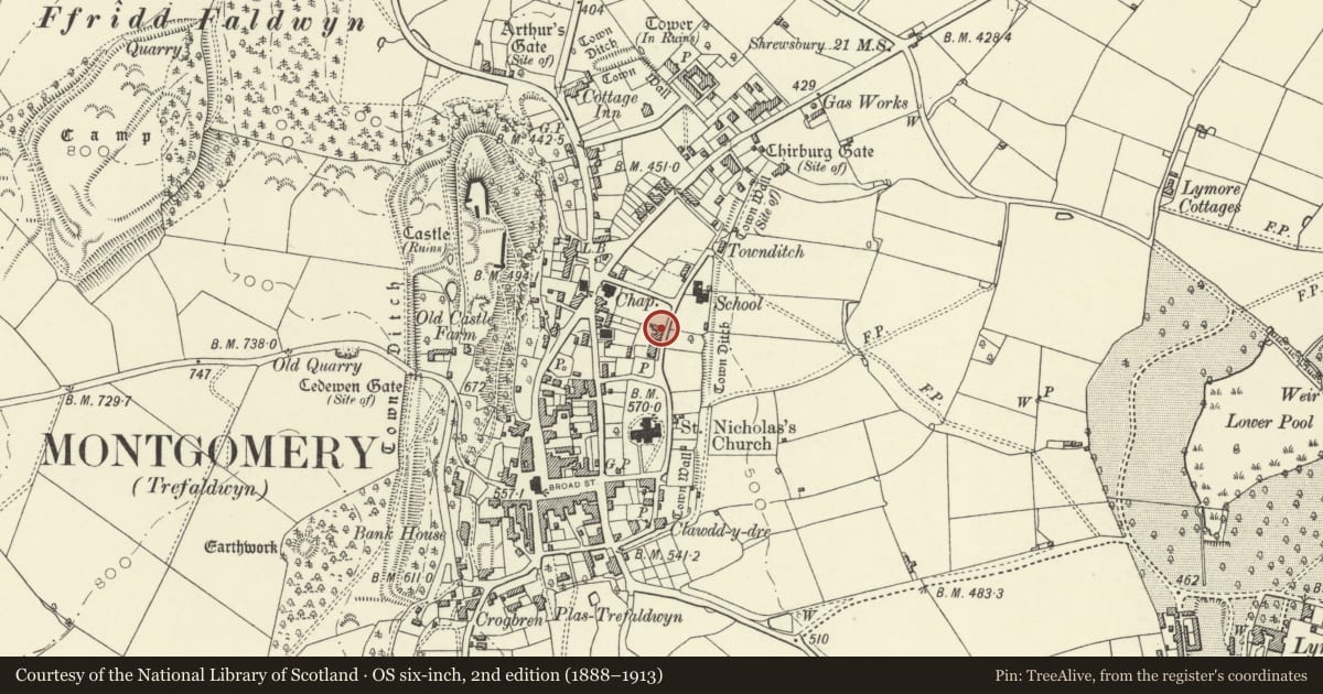 Ordnance Survey six-inch map, 2nd edition (1888–1913) covering the location of Heale Hall, Montgomery, Powys, with a pin at the register's coordinates