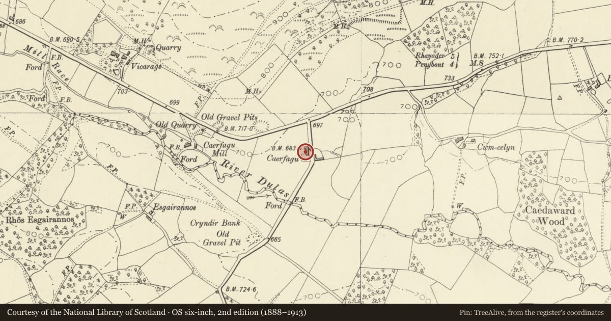 Ordnance Survey six-inch map, 2nd edition (1888–1913) covering the location of Caerfagu, Nantmel, Powys, with a pin at the register's coordinates